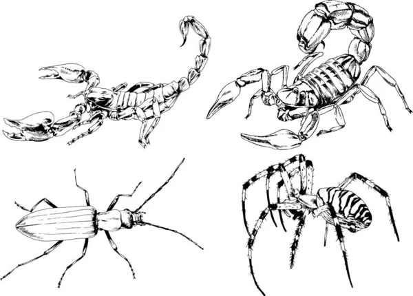 Desenhos Vetoriais Esboços Diferentes Insetos Insetos Escorpiões Aranhas Desenhadas Tinta —  Vetores de Stock