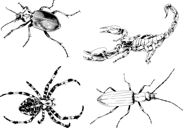 Desenhos Vetoriais Esboços Diferentes Insetos Insetos Escorpiões Aranhas Desenhadas Tinta —  Vetores de Stock