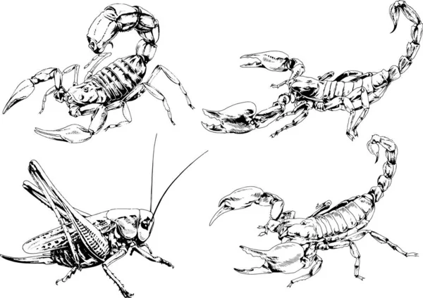 Vectortekeningen Schetst Verschillende Insecten Insecten Schorpioenen Spinnen Met Hand Getekend — Stockvector