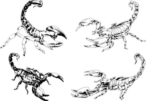 Desenhos Vetoriais Esboços Diferentes Insetos Insetos Escorpiões Aranhas Desenhadas Tinta — Vetor de Stock