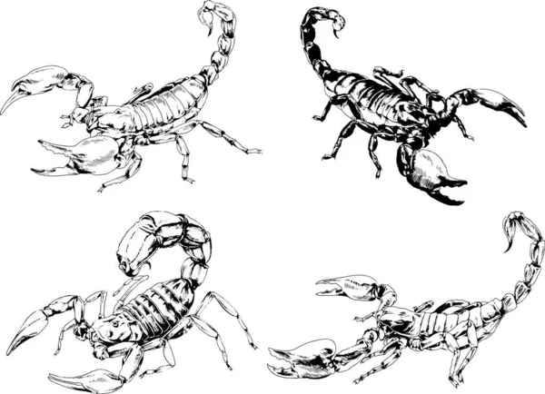 ベクトル図は異なる昆虫のバグをスケッチ手でインクで描かれたスコーピオンクモ 背景のないオブジェクト — ストックベクタ