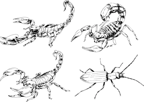 Vectortekeningen Schetst Verschillende Insecten Insecten Schorpioenen Spinnen Met Hand Getekend — Stockvector