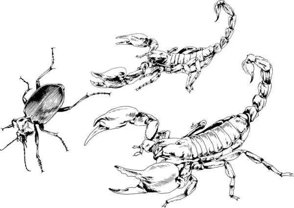 ベクトル図は異なる昆虫のバグをスケッチ手でインクで描かれたスコーピオンクモ 背景のないオブジェクト — ストックベクタ