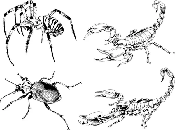 Vectortekeningen Schetst Verschillende Insecten Insecten Schorpioenen Spinnen Met Hand Getekend — Stockvector