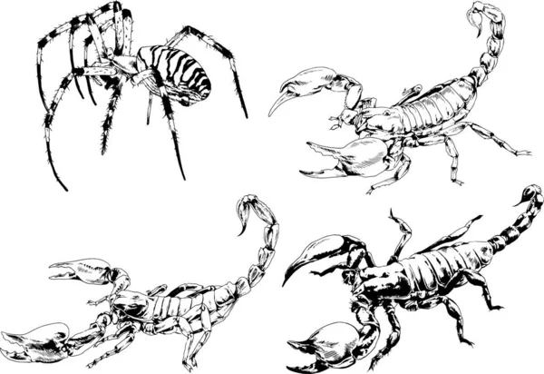 Desenhos Vetoriais Esboços Diferentes Insetos Insetos Escorpiões Aranhas Desenhadas Tinta —  Vetores de Stock