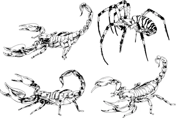 ベクトル図は異なる昆虫のバグをスケッチ手でインクで描かれたスコーピオンクモ 背景のないオブジェクト — ストックベクタ