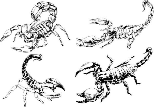 Desenhos Vetoriais Esboços Diferentes Insetos Insetos Escorpiões Aranhas Desenhadas Tinta —  Vetores de Stock