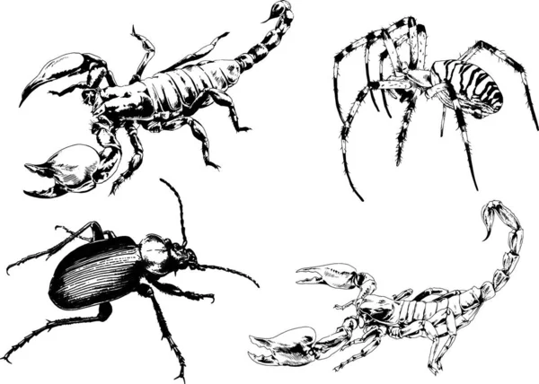 ベクトル図は異なる昆虫のバグをスケッチ手でインクで描かれたスコーピオンクモ 背景のないオブジェクト — ストックベクタ