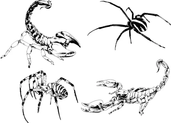 Vector Drawings Sketches Different Insects Bugs Scorpions Spiders Drawn Ink — Stock Vector