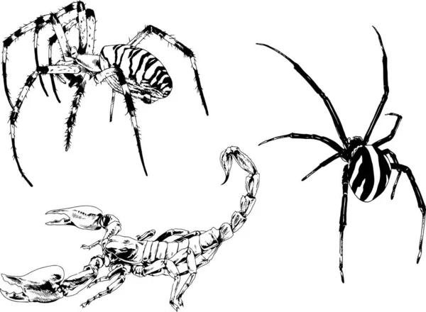 그림은 손으로 잉크로 물체들을 벌레들의 거미들을 그림이다 — 스톡 벡터