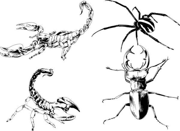 Desenhos Vetoriais Esboços Diferentes Insetos Insetos Escorpiões Aranhas Desenhadas Tinta — Vetor de Stock