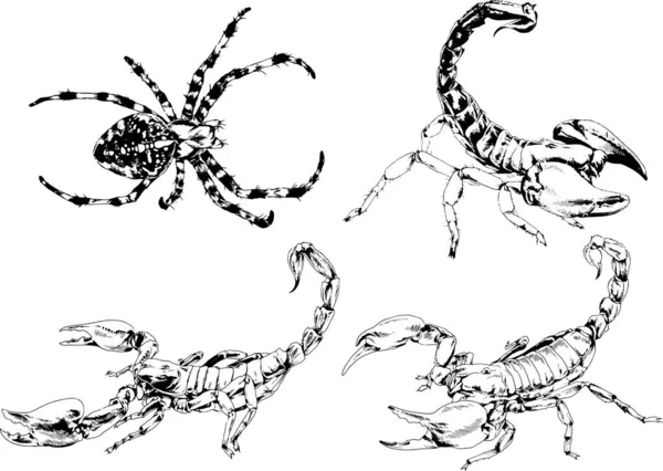 ベクトル図は異なる昆虫のバグをスケッチ手でインクで描かれたスコーピオンクモ 背景のないオブジェクト — ストックベクタ