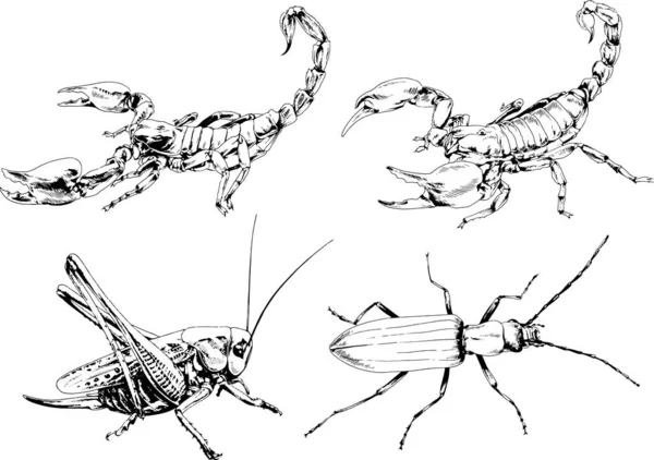 Vectortekeningen Schetst Verschillende Insecten Insecten Schorpioenen Spinnen Met Hand Getekend — Stockvector