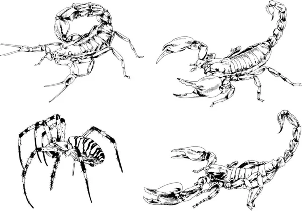 Disegni Vettoriali Schizzi Insetti Diversi Insetti Ragni Scorpioni Disegnati Mano — Vettoriale Stock