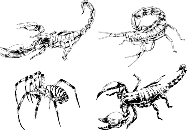 Vektorové Kresby Kreslí Různé Brouky Hmyzu Škorpióni Kreslení Inkoustem Rukou — Stockový vektor