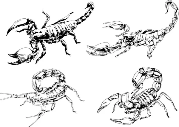 Dibujos Vectoriales Bocetos Insectos Diferentes Insectos Scorpions Arañas Dibujadas Con — Vector de stock