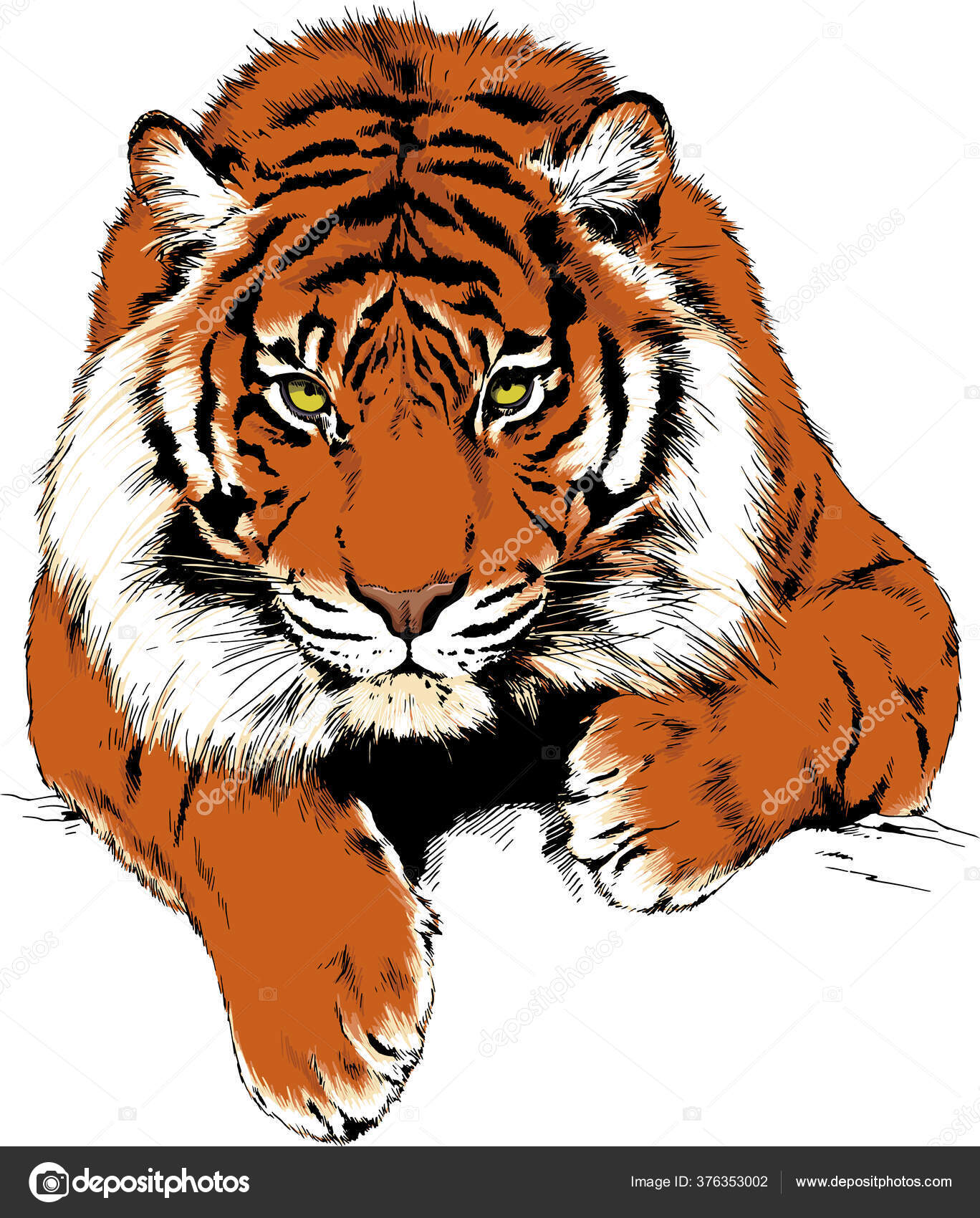 Golden Mirror Tattoo - Jadran Beauprez - Sumatran tiger ! #tiger # tigertattoo #sumatra #sumatrantiger #tigerheadtattoo | Facebook