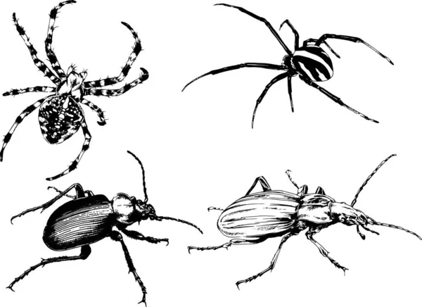 Vektorzeichnungen Skizzieren Verschiedene Insekten Käfer Skorpione Spinnen Mit Tusche Von — Stockvektor