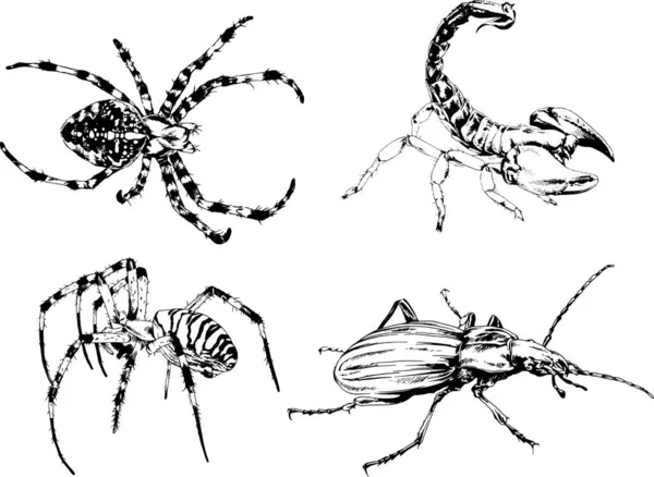 Desenhos Vetoriais Esboços Diferentes Insetos Insetos Escorpiões Aranhas Desenhadas Tinta —  Vetores de Stock