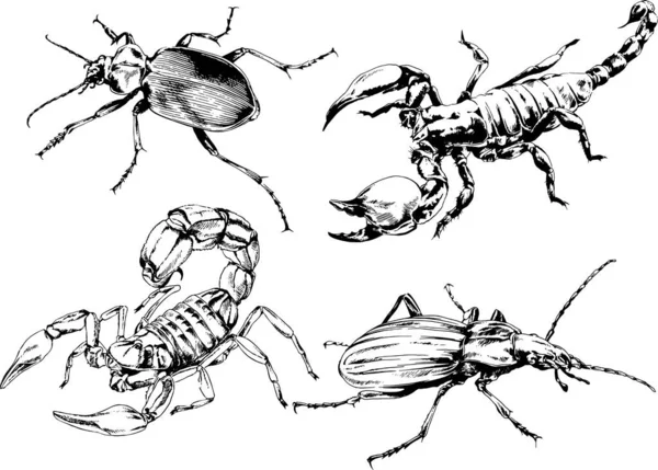 Disegni Vettoriali Schizzi Insetti Diversi Insetti Ragni Scorpioni Disegnati Mano — Vettoriale Stock