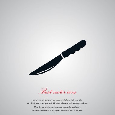 Knife icon vector