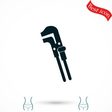 Anahtar tek renkli simgesini