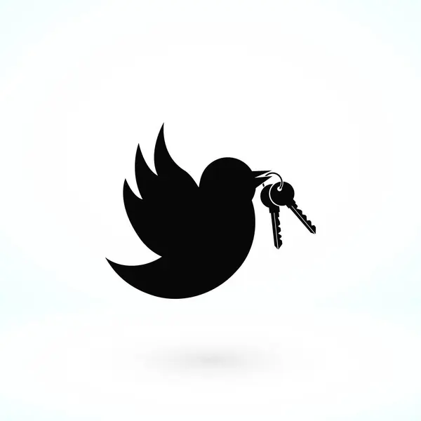 Ptak z ikoną klucze — Wektor stockowy