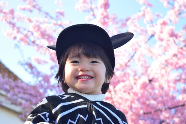 Cherry blossom and child — Stock Photo, Image