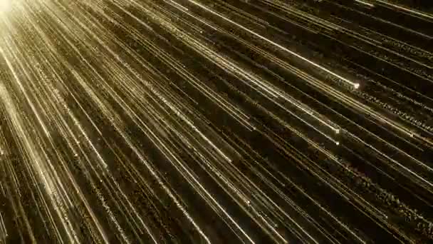 微粒子ゴールドラメ ボケ賞ほこり抽象的な背景ループ — ストック動画