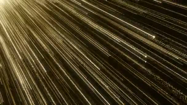 微粒子ゴールドラメ ボケ賞ほこり抽象的な背景ループ — ストック動画