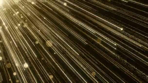 Partículas de ouro brilho bokeh prêmio poeira laço de fundo abstrato — Vídeo de Stock