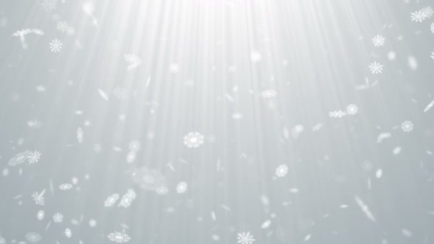 Partículas Neve Floco Neve Inverno Natal Abstrato Luz Bokeh Movimento — Vídeo de Stock