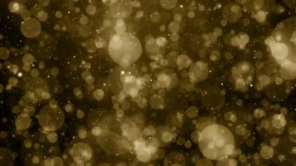 Teilchen Gold Bokeh Glitter Verleiht Staub Abstrakte Hintergrundschleife — Stockvideo