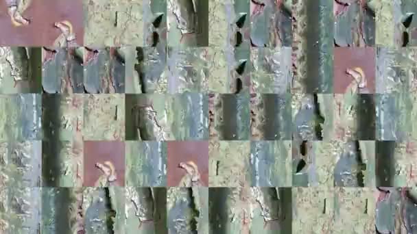 Paslı Yeşil Boyayla Kaplanmış Metal Bir Duvarın Parçalarından Mozaik Dokuların — Stok video