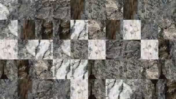 Vidéo Abstraite Textures Mosaïque Partir Des Éléments Écorce Tronc Arbre — Video