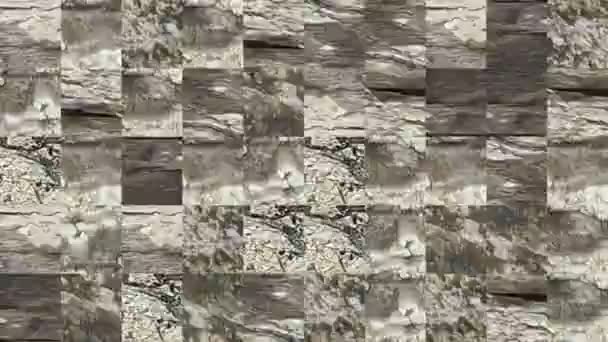Abstrakt Video Mosaik Texturer Från Fragment Gammal Träskiva Vit Stekt — Stockvideo