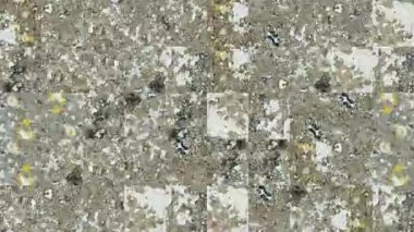Gri beton duvarın elementlerinden beyaz kabuk sokan boya parçalarının soyut mozaik dokuları. Arkaplan tasarımı. Arkaplan. Duvar Kağıdı.