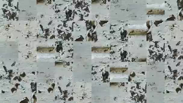 Abstrakt Video Mosaik Texturer Från Element Kaklad Vägg Vit Peeling — Stockvideo