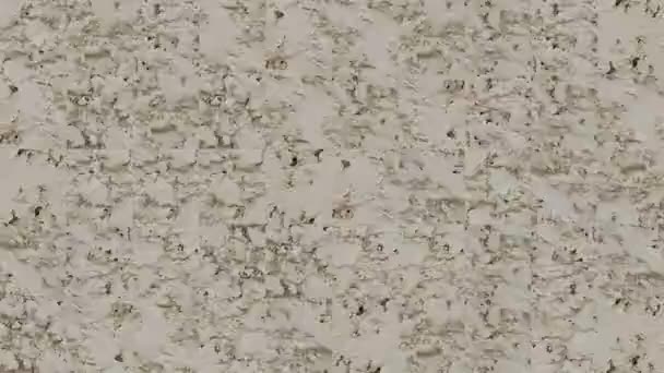 Dekoratif Gri Alçı Duvarının Çimento Parçalarından Mozaik Dokuların Soyut Videosu — Stok video