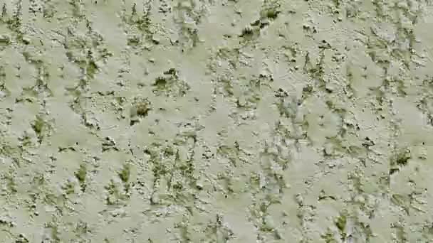 Abstract Video Mosaic Textures Fragments Cement Wall Decorative Plaster Green — Stock Video