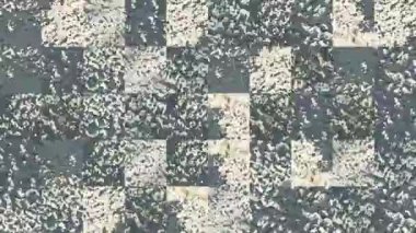 Beton duvar elementlerinin beyaz mavi boyadaki mozaik dokularının soyut videosu. Arkaplan tasarımı. Arkaplan. Duvar Kağıdı.