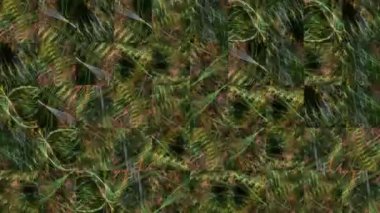 Yeşil çok renkli fraktal bir görüntünün mozaik dokularından alınmış soyut bir video. Arkaplan tasarımı. Arkaplan. Duvar Kağıdı.