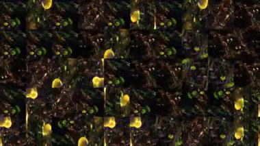 Yeşil, mavi, parlak fraktal görüntü elementlerinden mozaik dokuların soyut videosu. Arkaplan tasarımı. Arkaplan. Duvar Kağıdı.