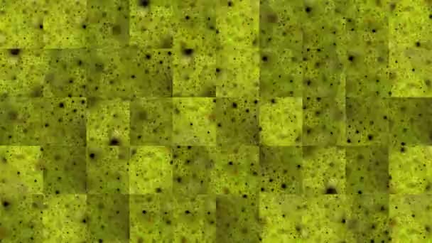 Video Astratto Texture Mosaico Frammenti Immagine Frattale Spugnosa Verde Design — Video Stock