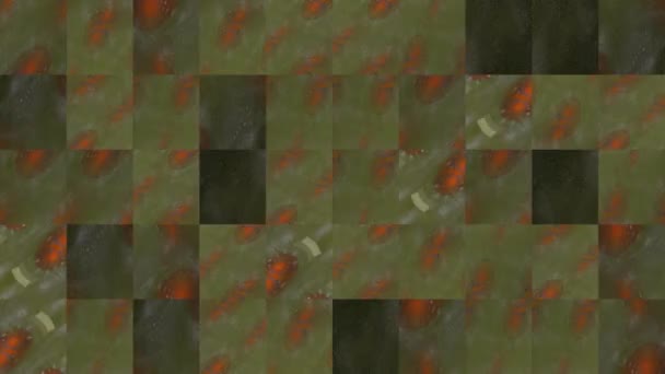 Abstract Vídeo Mosaic Textures Elements Green Red Fractal Image Design — Vídeo de Stock