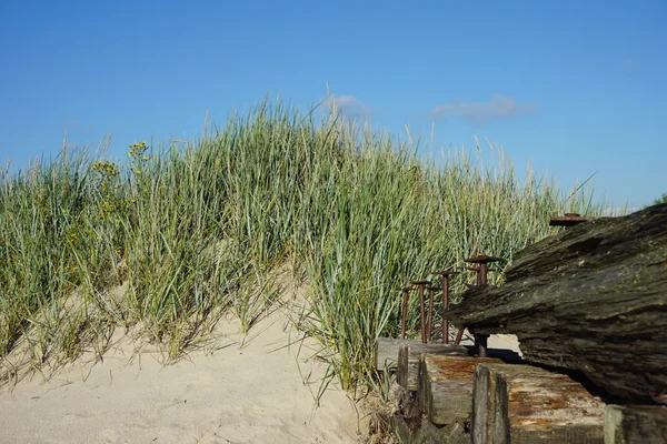 Green dune with wrecks of mooring — Stock Photo, Image