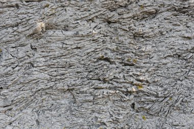 arka plan sıva duvarlar