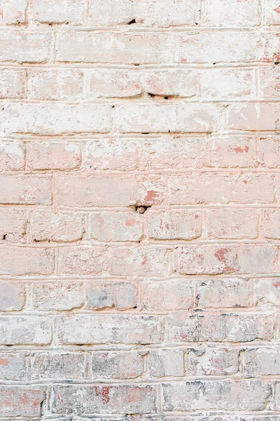 Pared de ladrillo blanco rosa — Foto de Stock