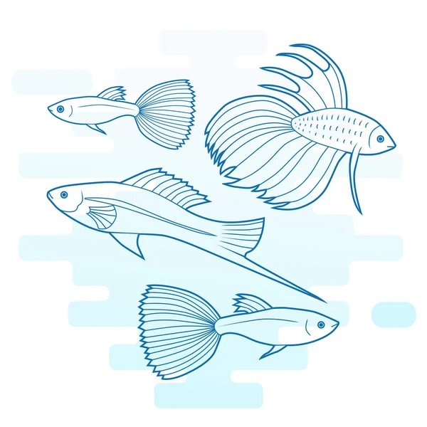 Conjunto de peces de acuario. Ilustración de contorno moderno sobre fondo blanco . — Archivo Imágenes Vectoriales
