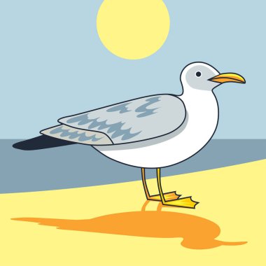 Martı uçuş kuş ve seabird martı.